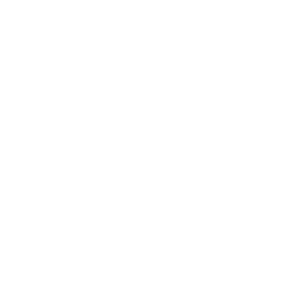 Independent Filmmaker Project